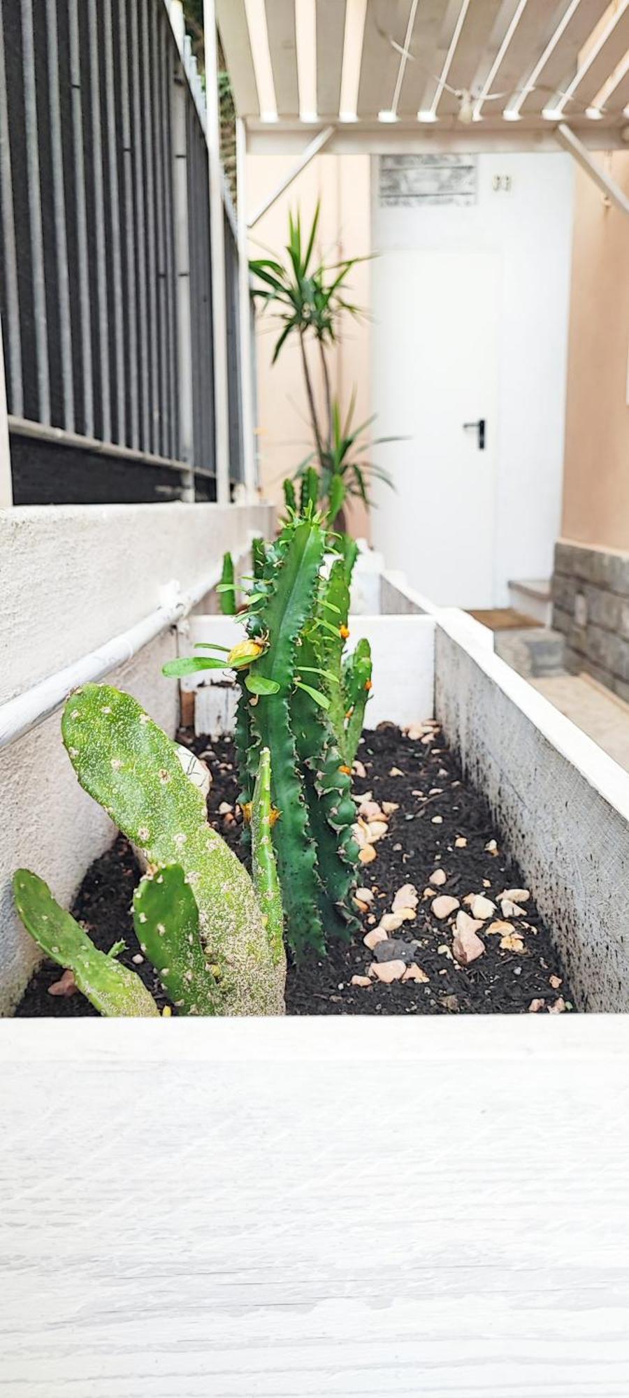 Residenza Bibliososta Daire Ventimiglia Dış mekan fotoğraf